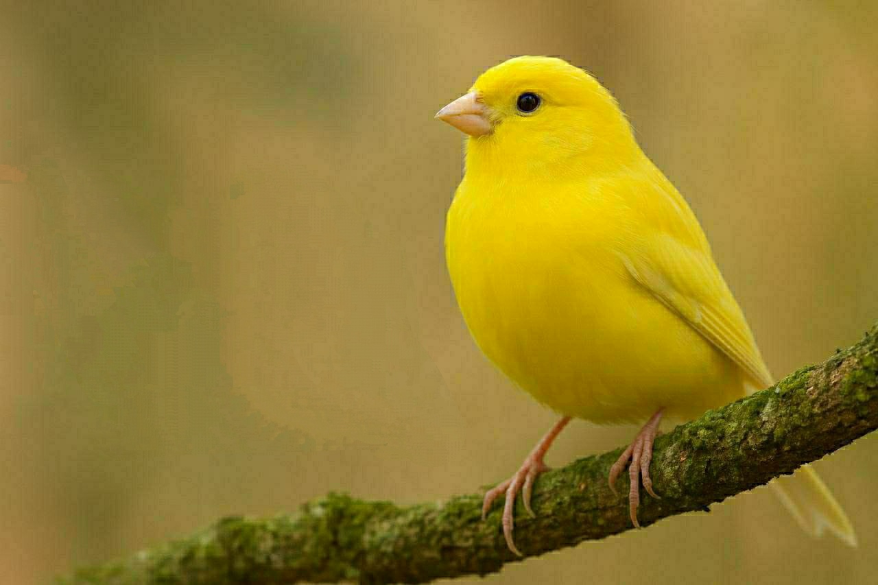 slideshow3